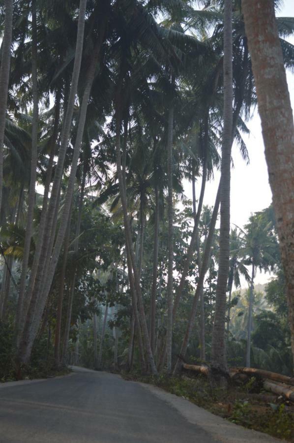 Nyuh Gading Bungalow Nusa Penida Sakti Zewnętrze zdjęcie